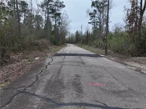 0 Lower Rome Rd, Springfield, LA 70462 photo 23