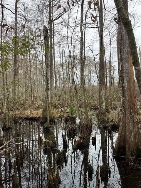 0 Lower Rome Rd, Springfield, LA 70462 photo 41