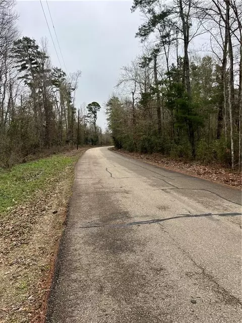 0 Lower Rome Rd, Springfield, LA 70462 photo 17