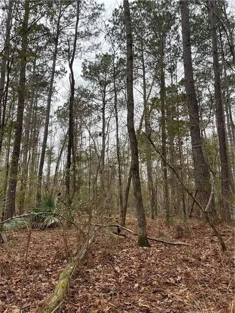 0 Lower Rome Rd, Springfield, LA 70462 photo 18