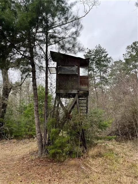 0 Lower Rome Rd, Springfield, LA 70462 photo 37