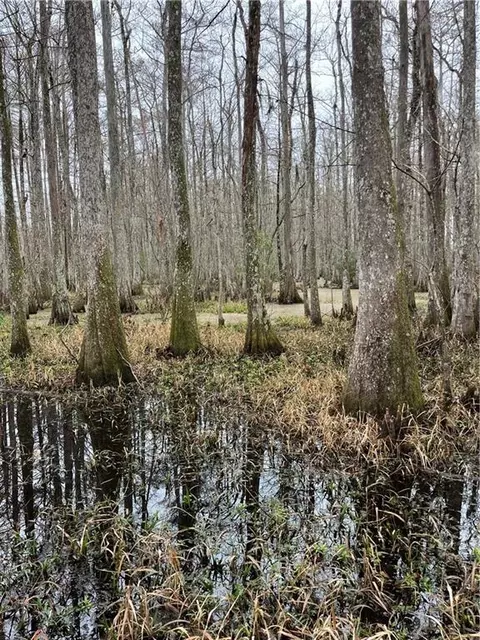 0 Lower Rome Rd, Springfield, LA 70462 photo 13