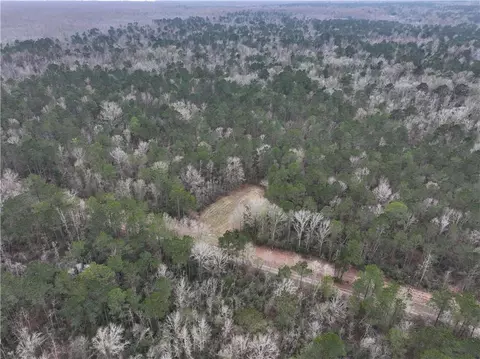 0 Lower Rome Rd, Springfield, LA 70462 photo 3