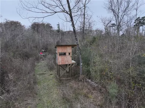 0 Lower Rome Rd, Springfield, LA 70462 photo 4