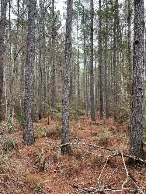 0 Lower Rome Rd, Springfield, LA 70462 photo 34