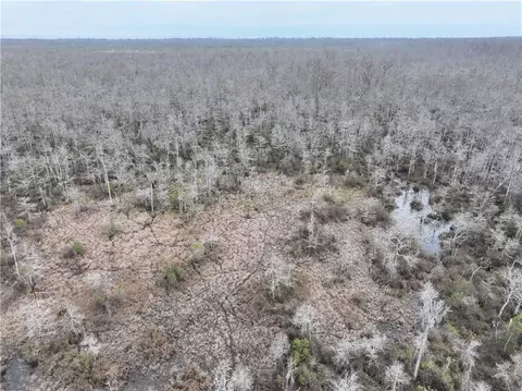 0 Lower Rome Rd, Springfield, LA 70462 photo 2