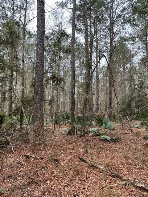0 Lower Rome Rd, Springfield, LA 70462 photo 14