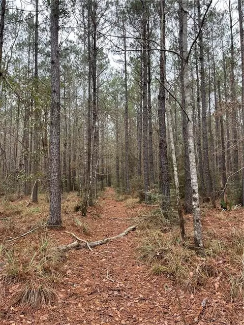 0 Lower Rome Rd, Springfield, LA 70462 photo 45