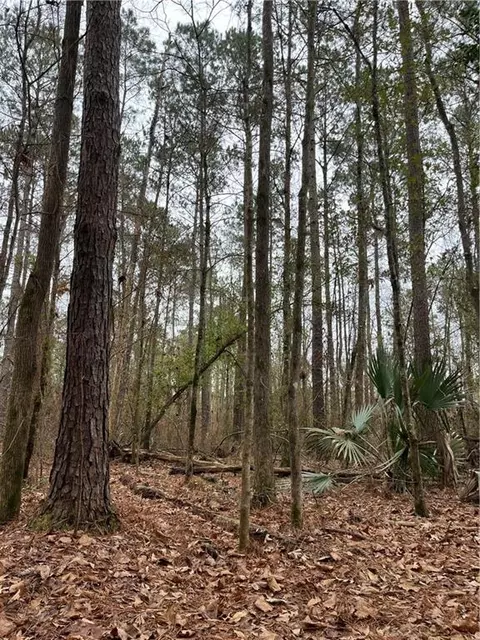 0 Lower Rome Rd, Springfield, LA 70462 photo 16