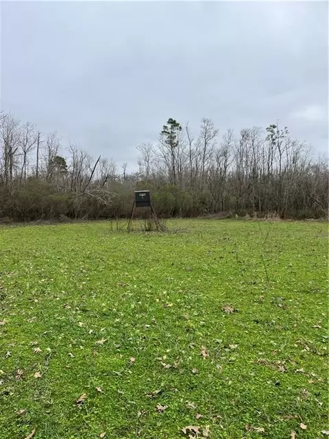 0 Lower Rome Rd, Springfield, LA 70462 photo 11