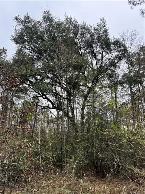 0 Lower Rome Rd, Springfield, LA 70462 photo 19
