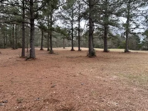 26585 Old Lake Rd, Mount Hermon, LA 70450
