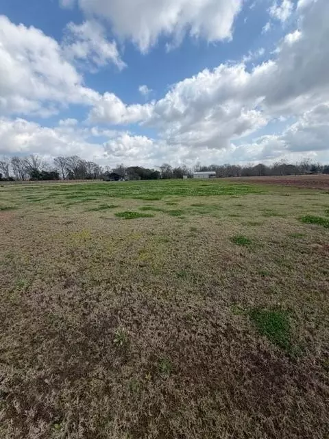 4568 Navys Way, Boyce, LA 71409 photo 3
