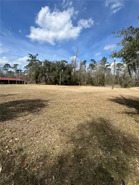 16683 Meissner Rd, Springfield, LA 70462 photo 4
