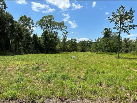 lot3 The Banks Dr Hwy 16 Hwy, Franklinton, LA 70438