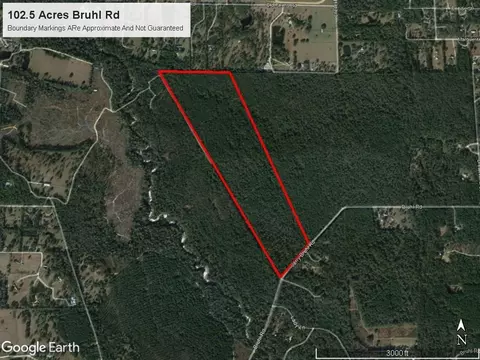 102 Acres Bruhl Rd, Folsom, LA 70437