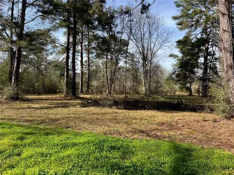 W Yellow Water Road, Hammond, LA 70403