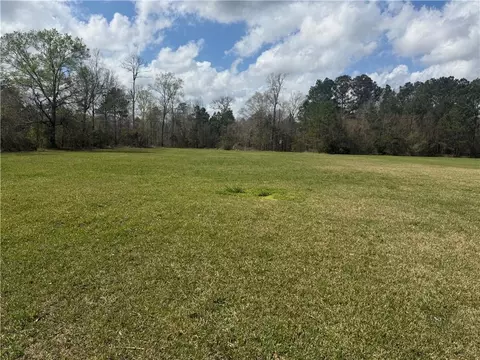 tbd Palmisano Dr, Hammond, LA 70403