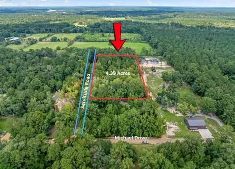 24411 Michael Dr, Ponchatoula, LA 70454