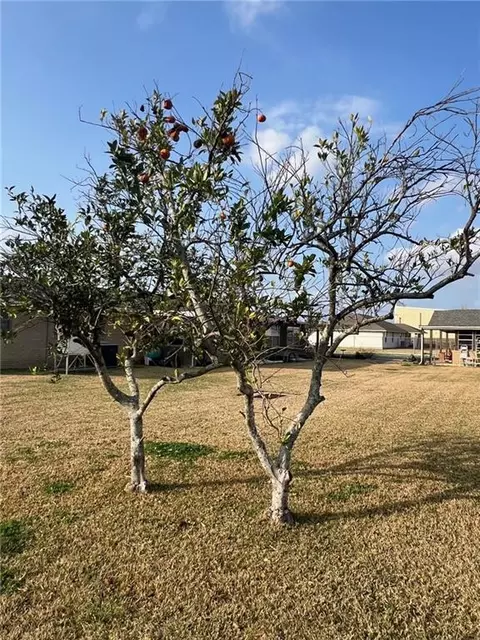 Exterior - 125 River Oaks Dr, Luling, LA 70070 photo 6 of 6