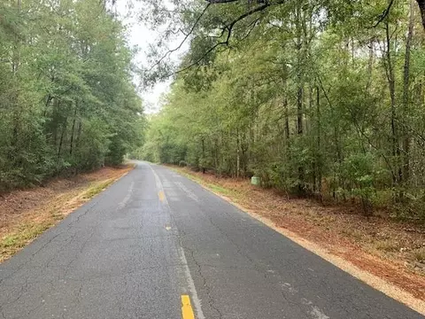0 Traino Rd, Ponchatoula, LA 70454