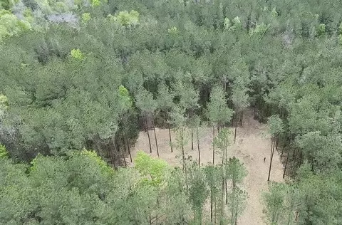 tbd Harts Ln, Kentwood, LA 70444