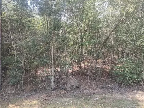 2 Ac 445 Hwy, Loranger, LA 70446 photo 4