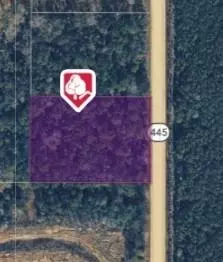2 Ac 445 Hwy, Loranger, LA 70446 photo 2