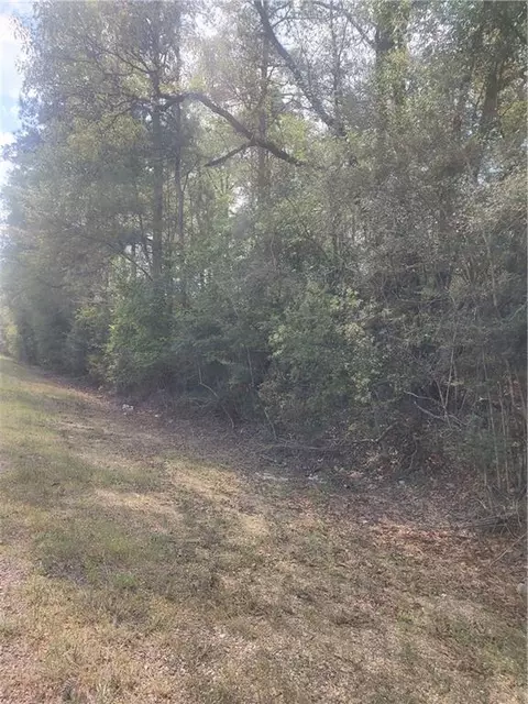 2 Ac 445 Hwy, Loranger, LA 70446 photo 6