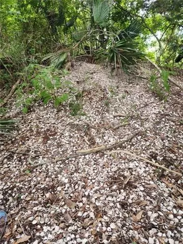1 40 Acres Vacant Land, Ponchatoula, LA 70454