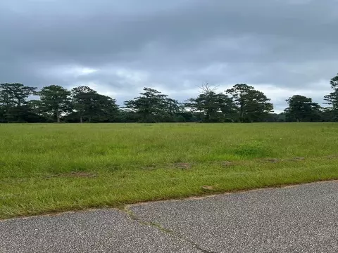 000 Ray Keen Rd, Covington, LA 70435 photo 3
