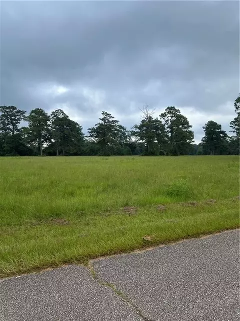 000 Ray Keen Rd, Covington, LA 70435 photo 2