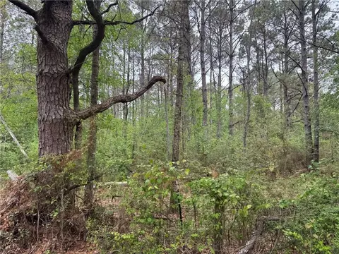 0 Pine Hollow Rd, Covington, LA 70435 photo 4