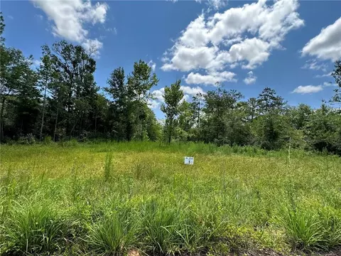 lot1 The Banks Dr Hwy 16 Hwy, Franklinton, LA 70438