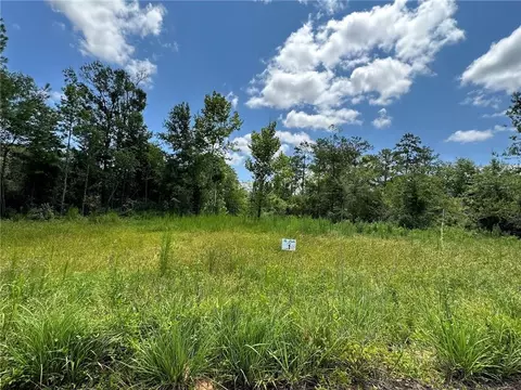 lot1 The Banks Dr Hwy 16 Hwy, Franklinton, LA 70438