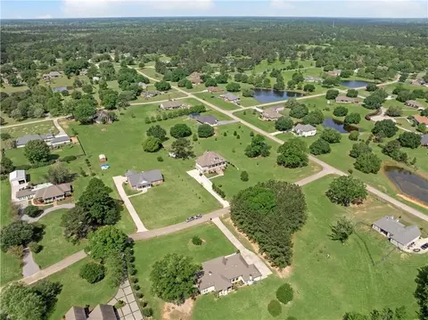 View/Area - 80585 Meadow Lark Loop, Bush, LA 70431 photo 4 of 5