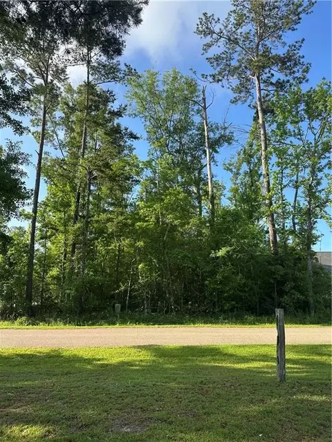 lot15 Ponchatrain Dr, Springfield, LA 70462