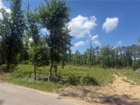 39667 School Section Rd, Ponchatoula, LA 70454