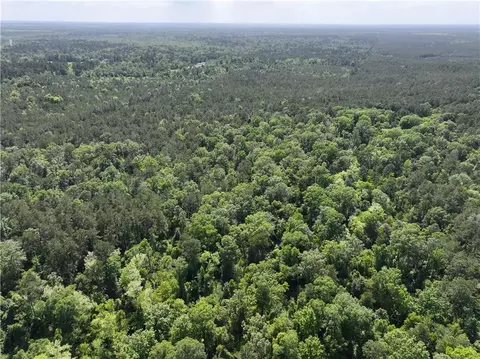 Elmore Mckigney Ln Lane, Springfield, LA 70462