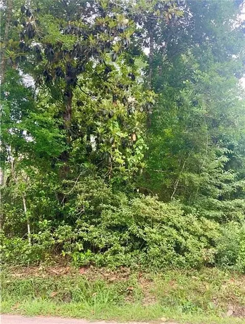 Keys Road, Covington, LA 70433 photo 2