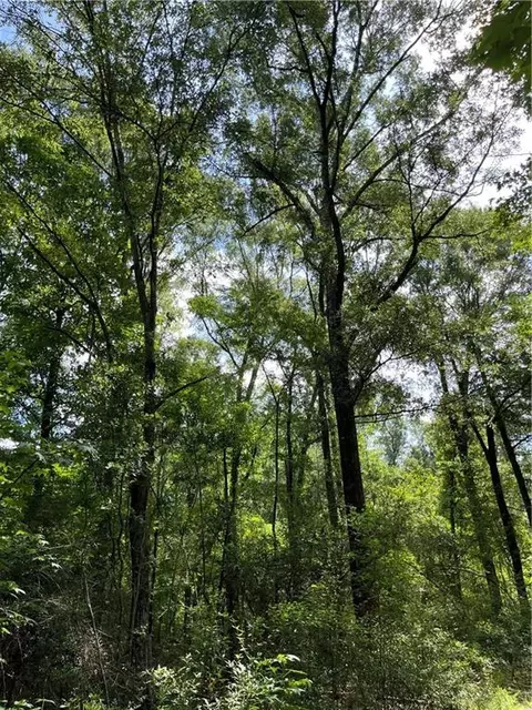 Ellis Blvd Boulevard, Loranger, LA 70446 photo 25