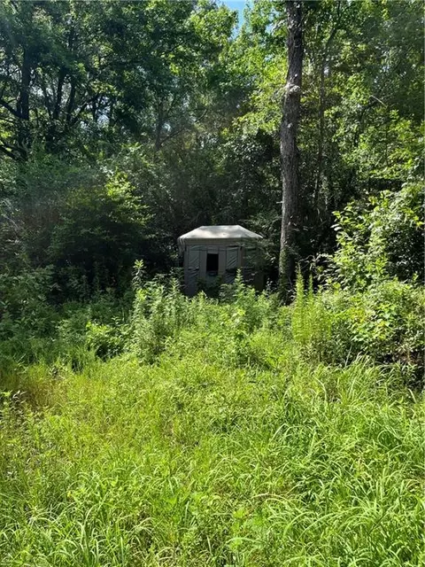 Ellis Blvd Boulevard, Loranger, LA 70446 photo 13