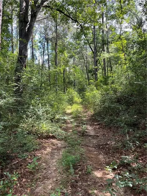 Ellis Blvd Boulevard, Loranger, LA 70446 photo 26
