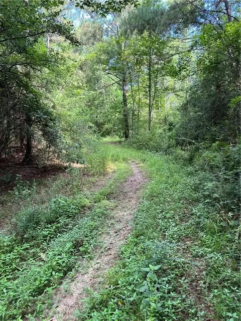 Ellis Blvd Boulevard, Loranger, LA 70446 photo 16