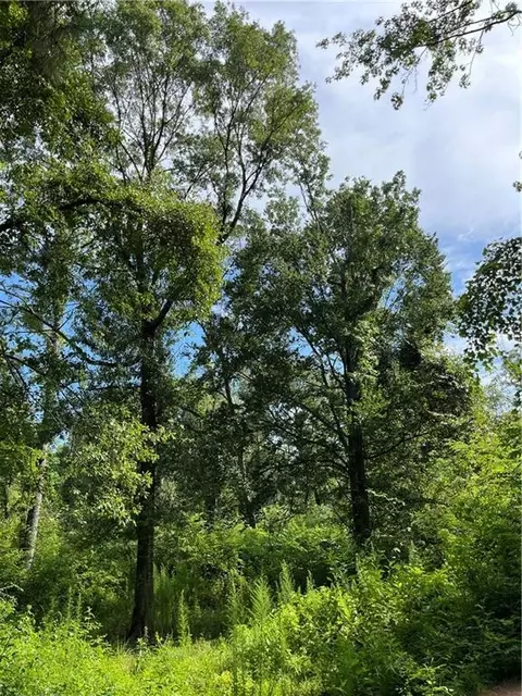 Ellis Blvd Boulevard, Loranger, LA 70446 photo 17