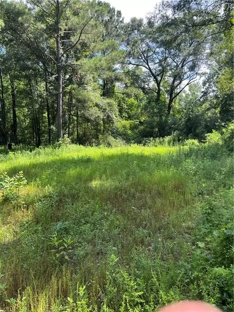 Ellis Blvd Boulevard, Loranger, LA 70446 photo 15