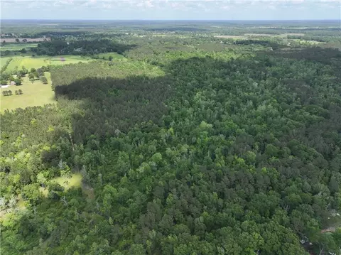 Ellis Blvd Boulevard, Loranger, LA 70446 photo 10