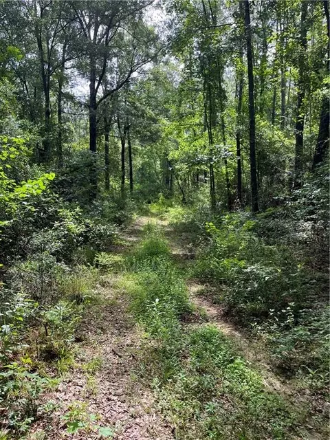 Ellis Blvd Boulevard, Loranger, LA 70446 photo 7
