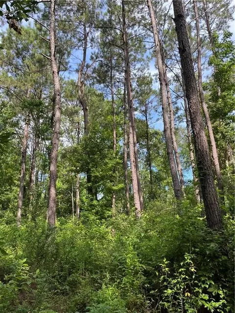Ellis Blvd Boulevard, Loranger, LA 70446 photo 21