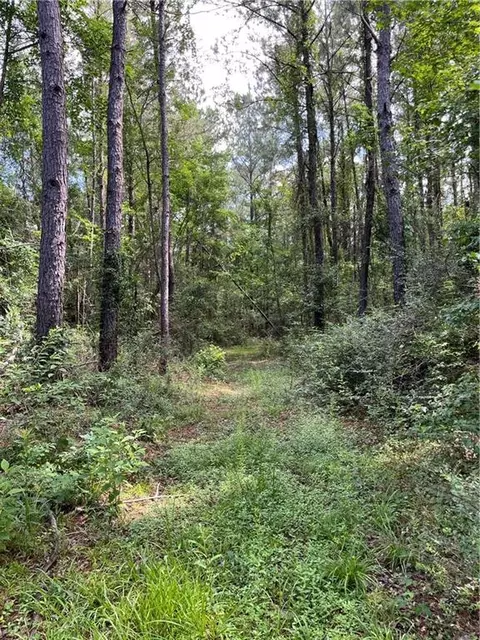 Ellis Blvd Boulevard, Loranger, LA 70446 photo 23